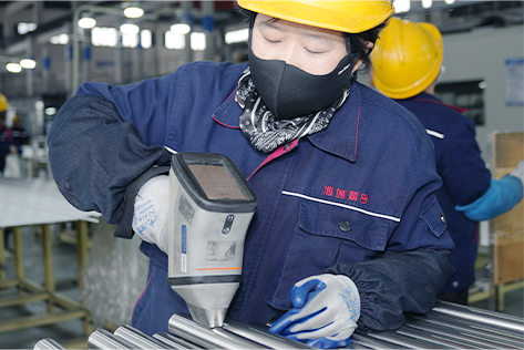 PMI Test